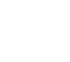Working Bikes logo